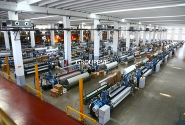 中国 Sichuan Groupeve Co., Ltd. 会社プロフィール