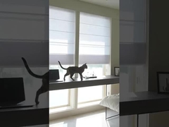 100% ポリエステル ブラックアウト ローラーブラインド 窓処理用ローマ製布