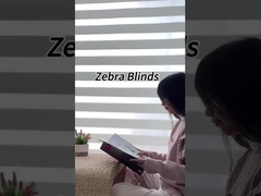 100%のポリエステル シマウマはカーテンの上のロールのための生地ロール50 M/Rollを盲目にする